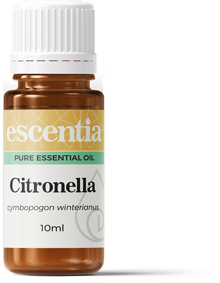 Escentia Citronella Essential Oil Cymbopogon winterianus