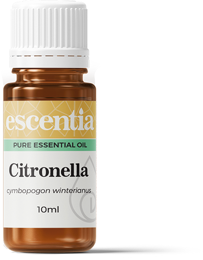 Escentia Citronella Essential Oil Cymbopogon winterianus