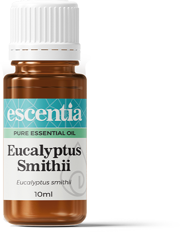 Escentia Eucalyptus (Smithii) Essential Oil