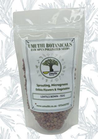 Umuthi Lentils Brown Sprouting Seeds