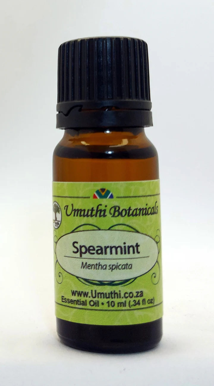 Umuthi Spearmint (Mentha spicata)