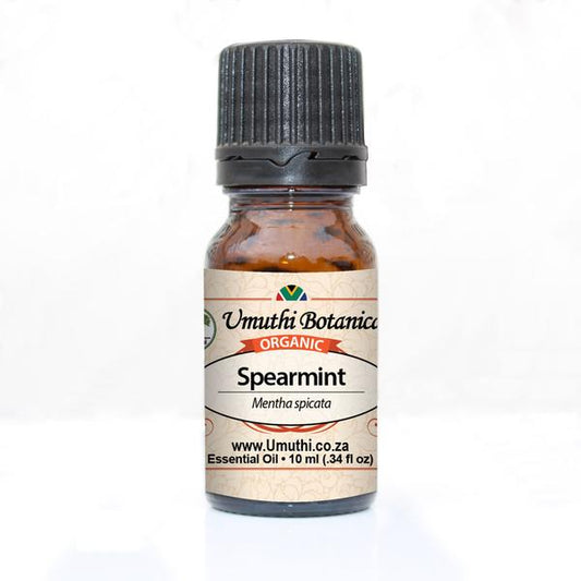 Umuthi Spearmint Organic (Mentha spicata)